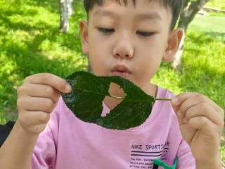 淄博市淄川区实验幼儿园：探索自然奥秘 见证泡泡奇迹