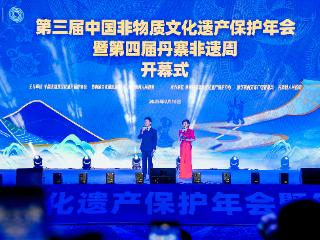 科技赋能，活态传承焕新机｜2025丹寨国家非遗周启幕