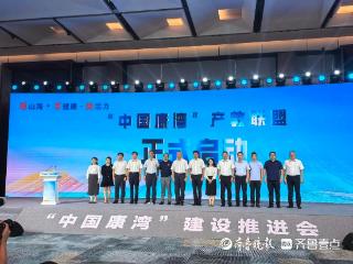 共商“中国康湾”建设发展大计，“中国康湾”建设推进会召开