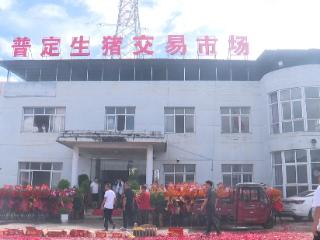 普定首家生猪交易市场启运 畅通产销对接渠道