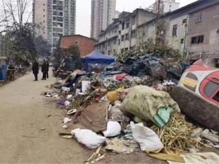 城市边角料，变身宝藏地！一起邂逅新都的“金角银边”