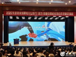 有“潍”度丨从一场盛会看潍坊的“人才经”