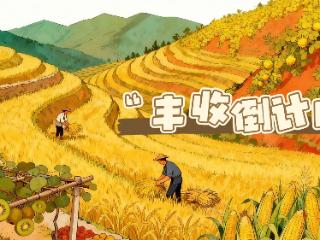 【丰收倒计时】“湘”菇遇“凉”机