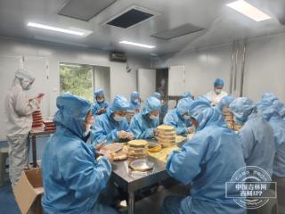 科技激活新 “参” 态，传统人参产业的创新蝶变