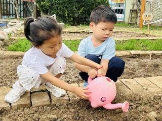 淄博市淄川区实验幼儿园：以劳育幼 趣探自然