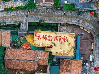 “博山的秋天”系列活动发布暨红叶柿岩五周年秋日盛典即将启幕