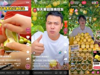 不靠运气，小众农货如何变成国民爆款？