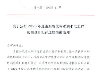 加力突破 提档进阶｜水发规划揽获11项省级大奖！
