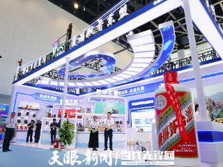 第22届中国-东盟博览会在南宁开幕 21家贵州企业携特色产品亮相