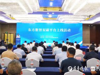 东方数智双碳平台启用上线