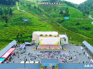 G视觉｜“金果”飘香！龙里举办2025刺梨节庆丰收
