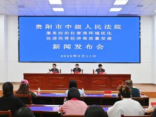 贵阳中院发布白皮书详解优化法治化营商环境