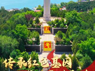 “新”动石家庄·逐浪正青春·海报｜解锁活力石家庄N种打开方式