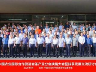 日照绿茶集团当选中国农促会茶产业分会副会长单位