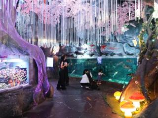 威海环翠：这里成“韩游新宠”！250余名韩国游客点赞