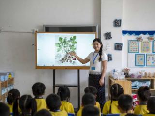 余干县实验幼儿园开展秋季拔花生活动