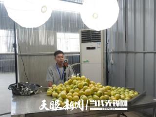 【山海同心·粤黔同行】直播带货聚合力！1000万帮扶资金托起增收与民生“双答卷”