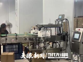 【山海同心·粤黔同行】“南海速度+从江效率”推动东西部协作从“输血”变“造血”