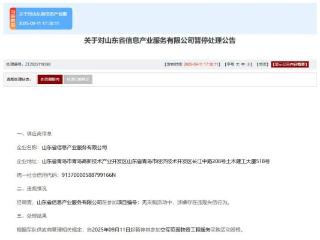 山东省信息产业服务有限公司涉嫌违规失信 被暂停相关采购资格