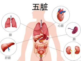 仅此一天！白癜风治疗专家莅临泉城，亲诊名额限号20
