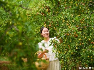 随笔｜又把乡情寄远方
