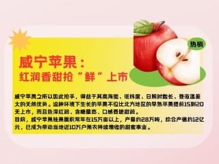 长图｜叮！你的秋收“果”味清单已送达
