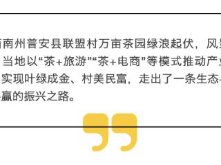 山高高雾茫茫 黔西南普安茶园美如画