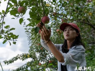 一封入党申请书背后的幸福村事