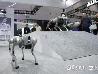 满满都是“黑科技”！2025中国国际消费电子博览会开幕