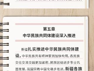 精华速览｜新时代党的治疆方略的成功实践