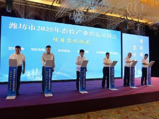 30家畜链企业现场签约，潍坊高密举办畜牧产业供需对接会