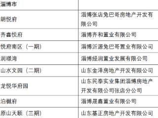 山东公布第三批高品质住宅试点项目，淄博8个项目入围