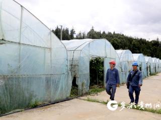 南方电网晴隆供电局：电力“亮”出致富路 黔货出国“甜”出圈