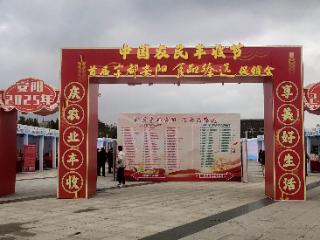 从田间到舌尖的安阳“丰”味