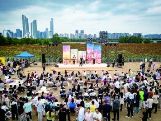 高粱地边音乐会 城市田园伴秋风