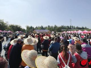 潍坊市潍城区2025年“中国农民丰收节”活动热闹开启！