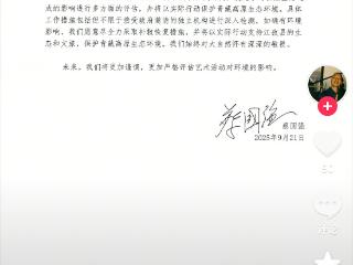 烟花秀引发关注，始祖鸟、蔡国强发文致歉