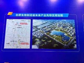 合肥生物制造省未来产业先导区交出“年度成绩单”