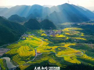 G视觉｜贵定腊利梯田：金秋绘就丰收盛景