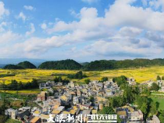 G视觉｜龙里大新村：梯田鎏金时 秋收图景忙
