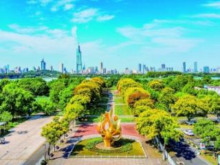 情侣园：栾树花开绘成“金色大道”