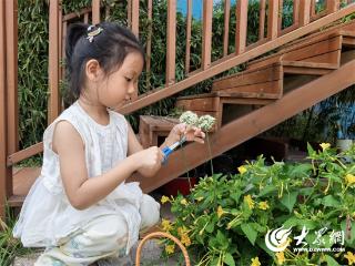 “幼”见秋耕 乐享其中 ——东营区文苑幼儿园组织开展了“秋收蔬菜”体验活动