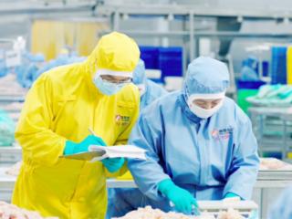 从莱阳田野到国际餐桌 春雪食品引领鸡肉调理品行业高质量发展