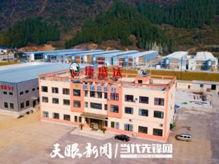 莞铜共建51个“菜篮子”直供大湾区