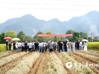 汇川：农机手田间“打擂炫技” 比拼“颗粒归仓”