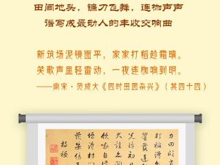 【节气里的大美中国】纵览长图丨秋分半，丰收满！一起感受古人的“丰”景美学