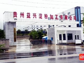 思南：11万亩“双高”红薯开秤 薯农开启丰收“钱”程