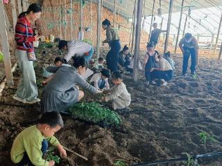 无棣县海丰街道开展“双节”亲子采摘体验活动