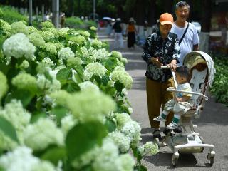 贵阳市：225个口袋公园“兜”起群众幸福生活