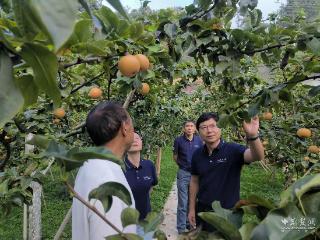 十年帮扶结硕果 中南民族大学把“幸福果”捎进百姓家
